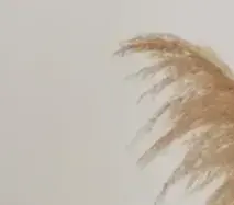 Neurofusi